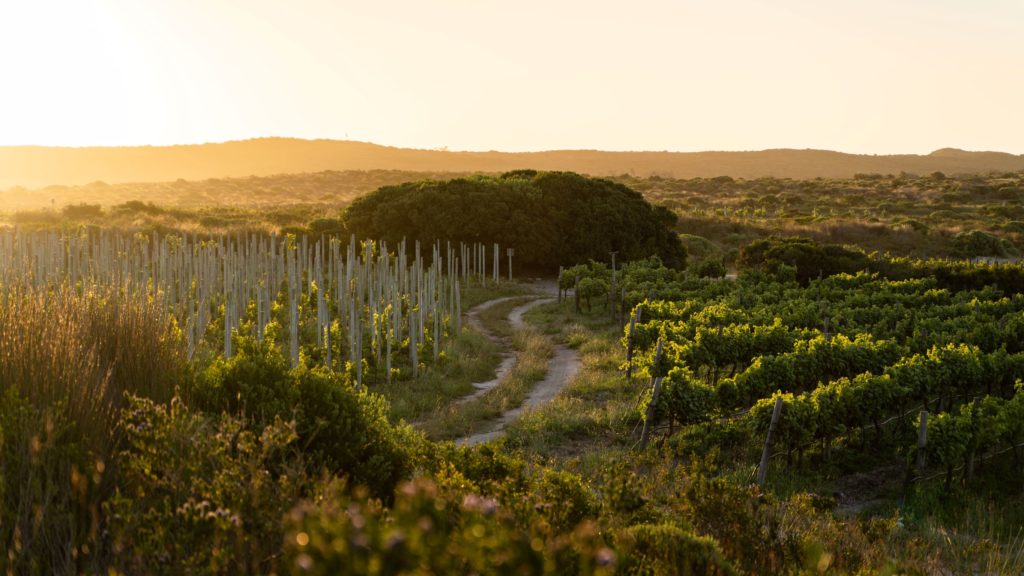 the intact ecosystem at springfontein