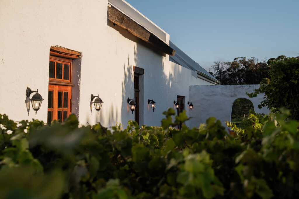 a decorative detail on the outside of wortelgat restaurant at springfontein wine estate