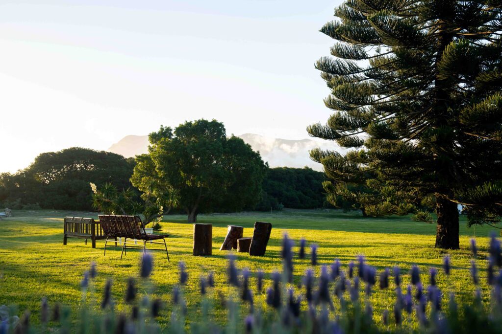 the garden view from wortelgat, inviting for sundowners at springfontein