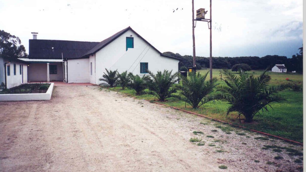 the old mainbuilding, palm trees newly planted