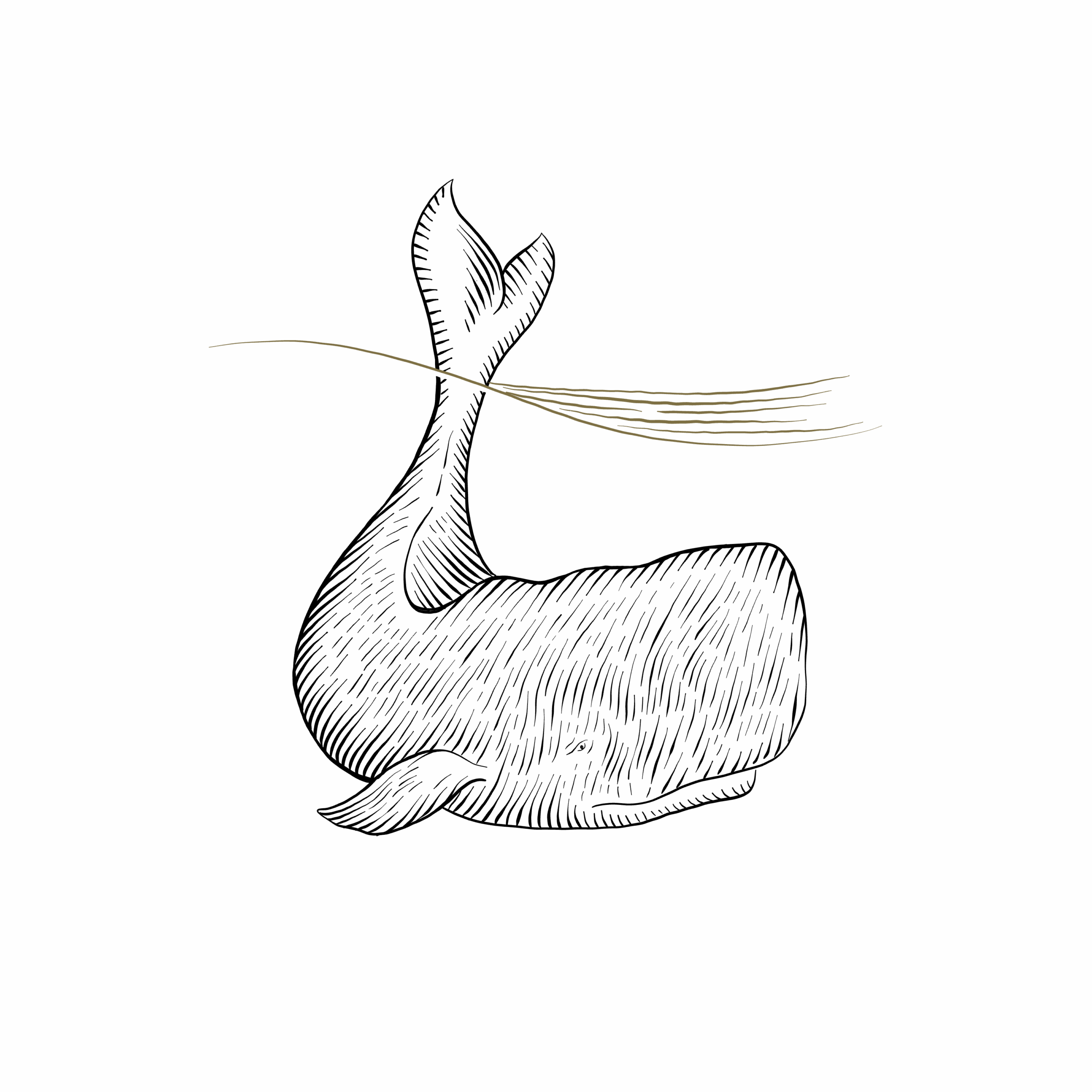 Cape Moby Single Varietals (Chardonnay · Semillon · Sauv. Blanc) - Image 2