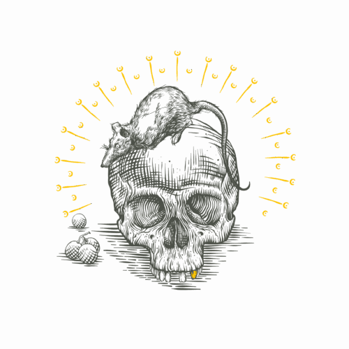 DD_WHITE-scaled-1.png