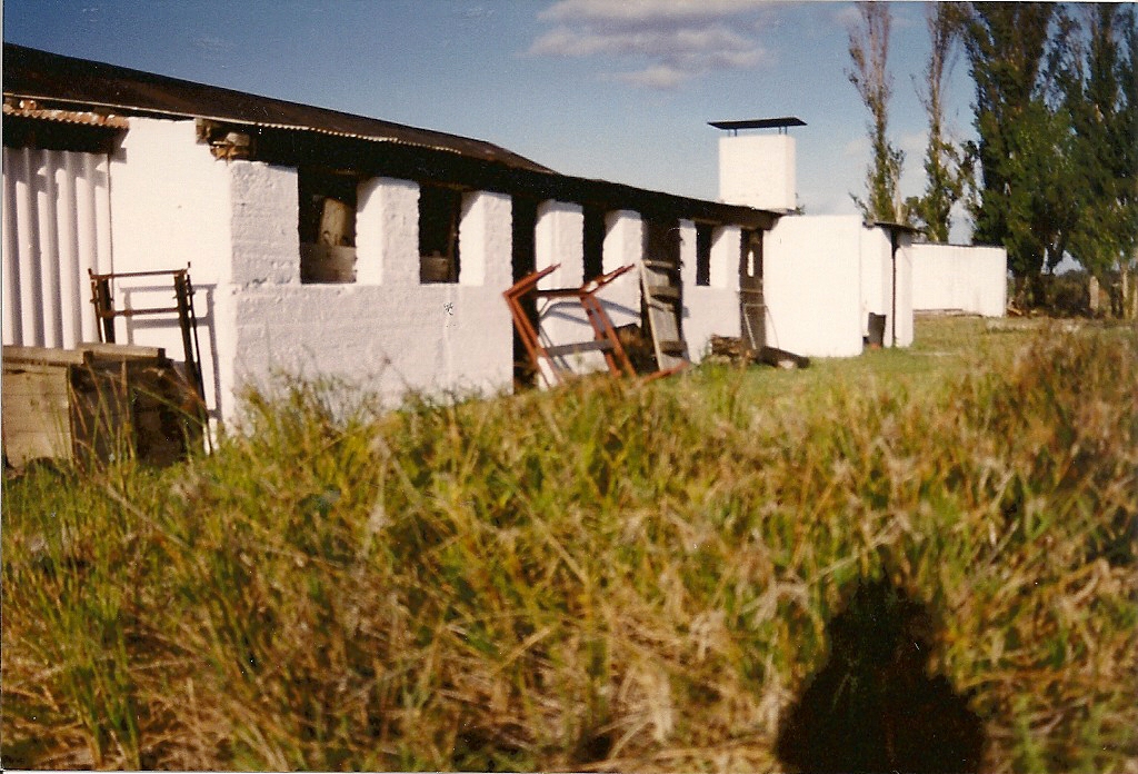 old stable, now kitchen