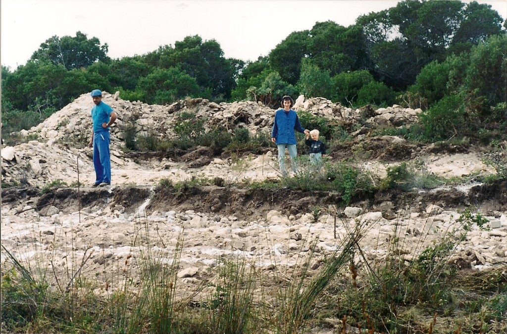 a soil profile full of limestone rocks