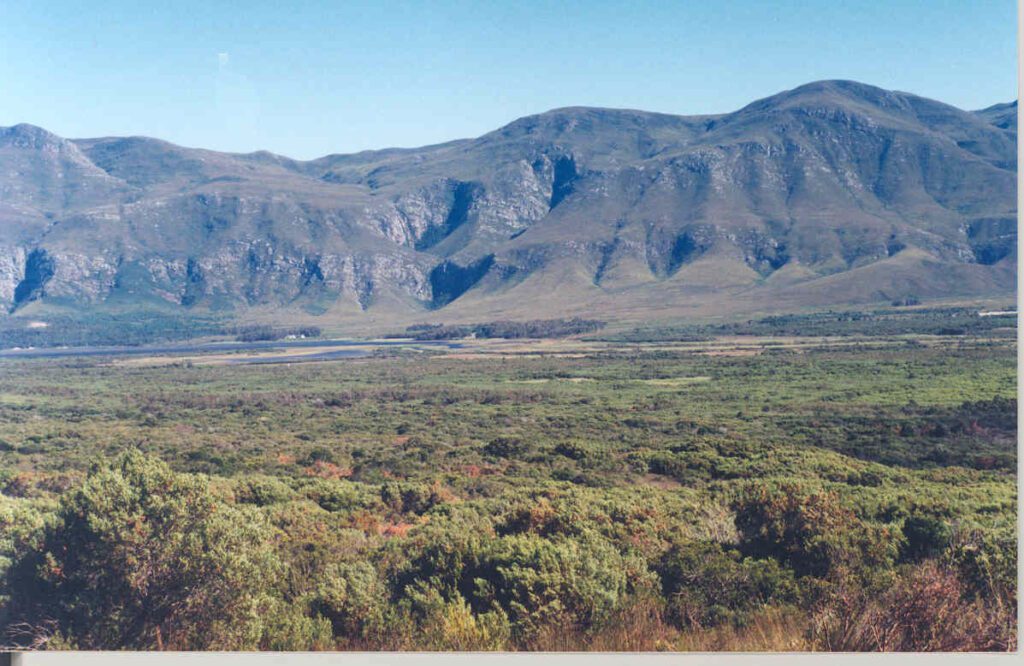 view from the top