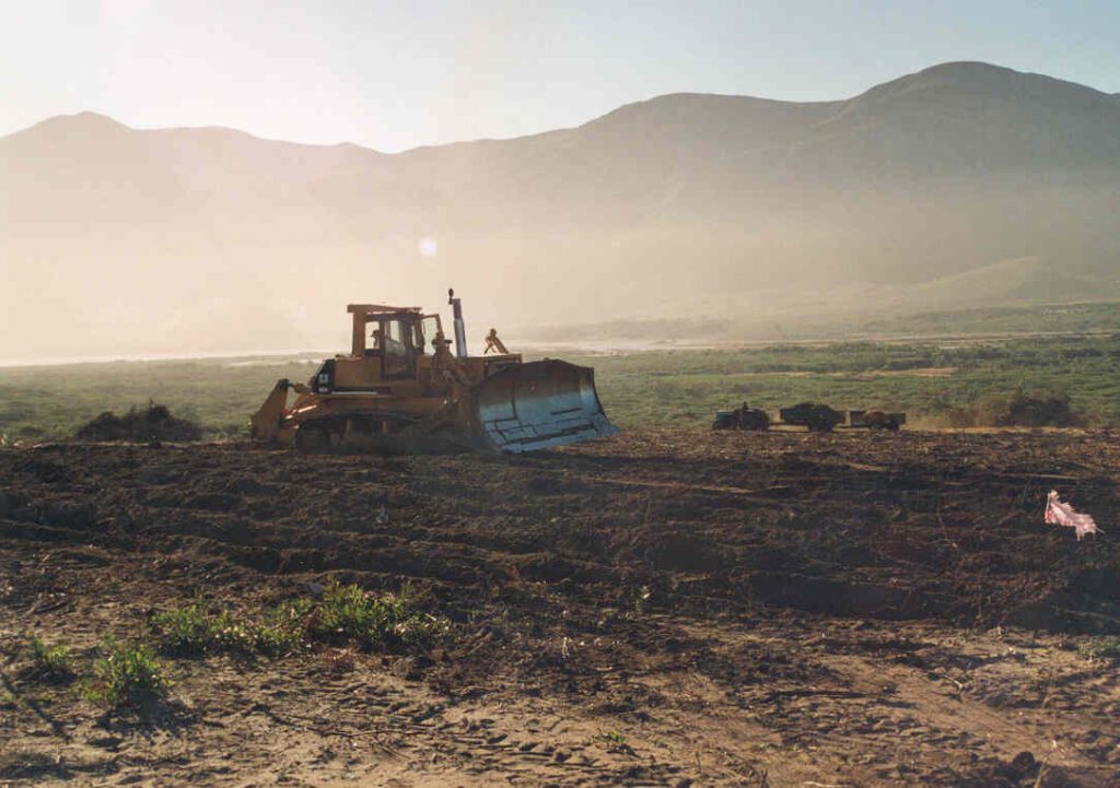 a bulldozer clearing the future vineyards