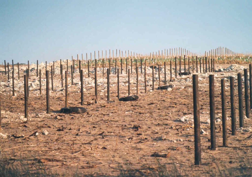 irrigation installed during planting