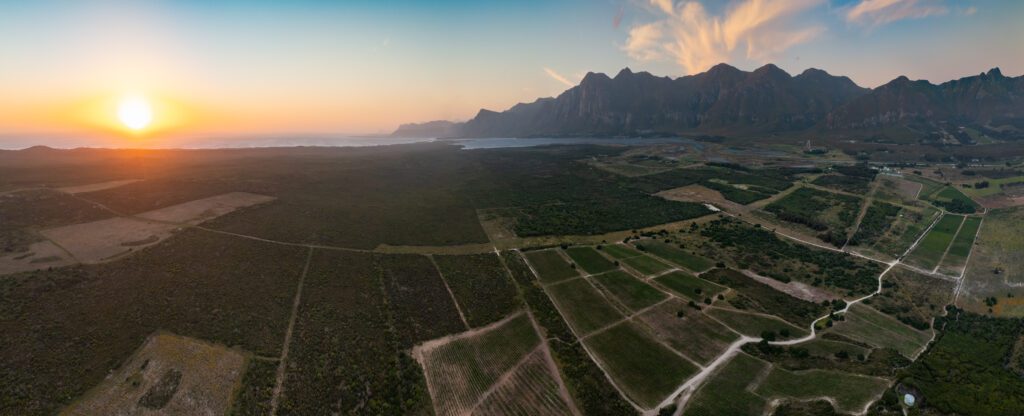 Aerial shot of the Springfontein Rim appellation, Walker Bay